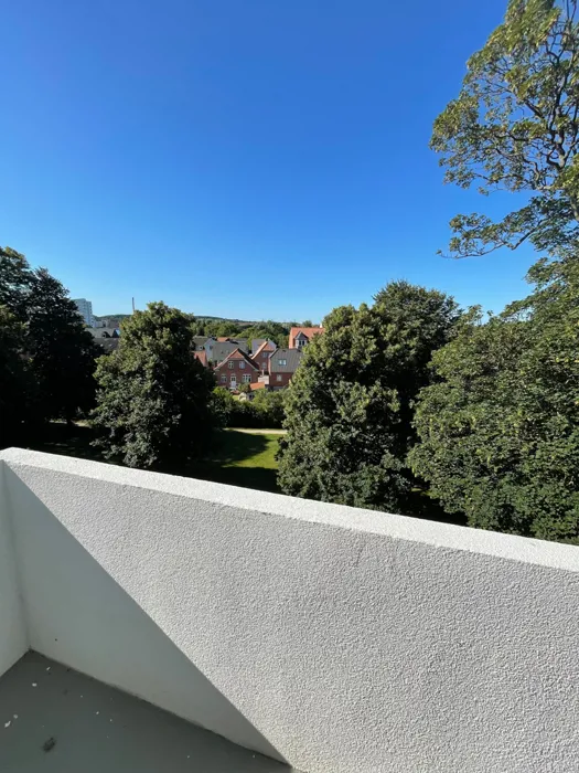 Rummelig og lys lejlighed i Nørresundby 7